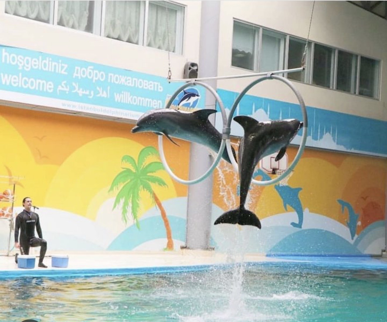 İstanbul Dolphinarium