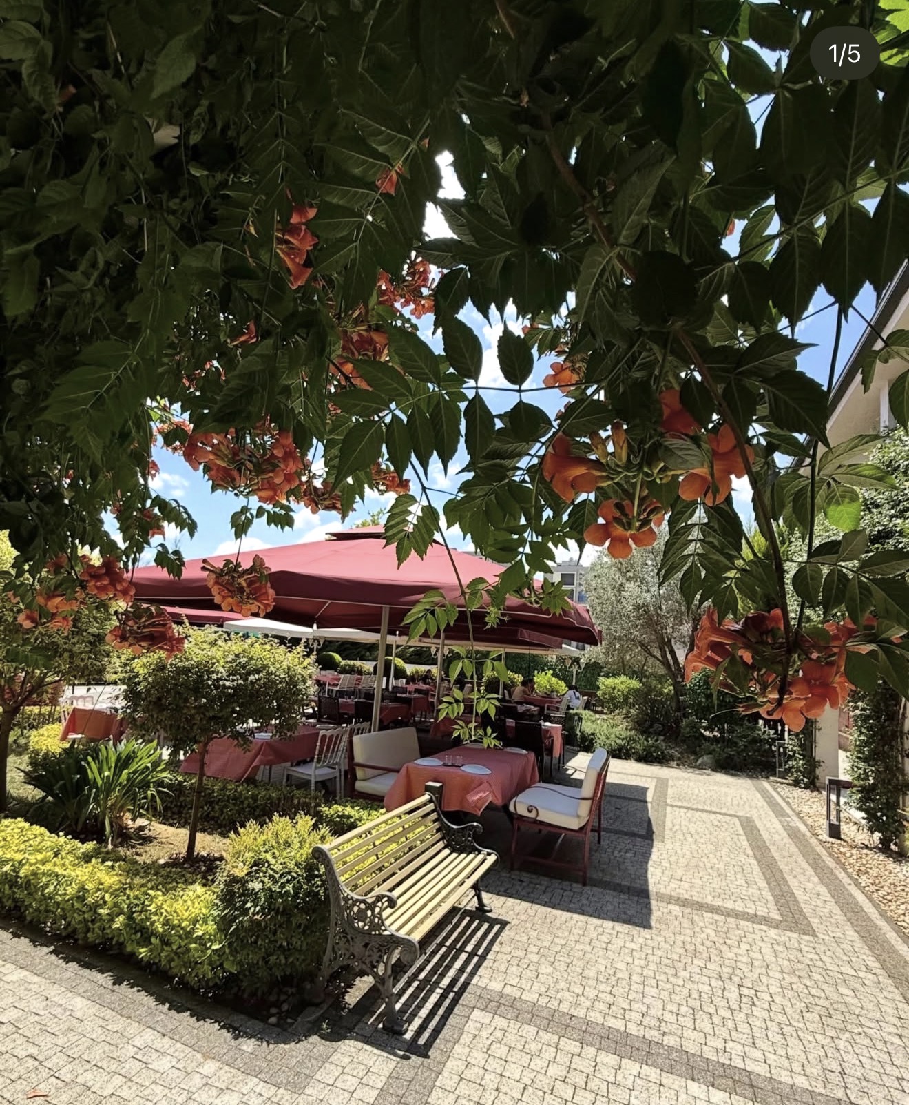 Ali Babanın Çiftliği ve Restaurantı mekân fotoğrafı