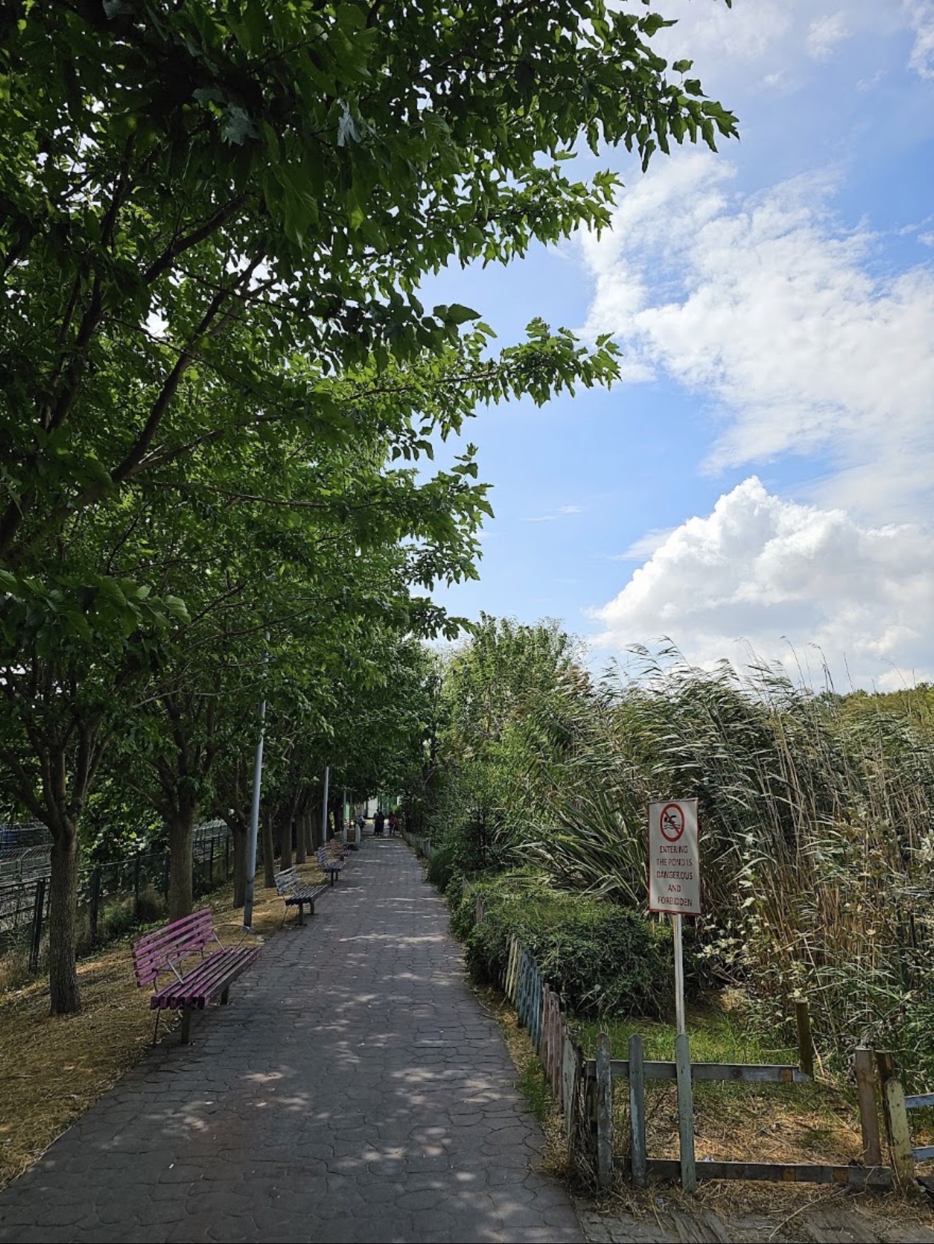 Bakırköy Botanik Parkı mekân fotoğrafı