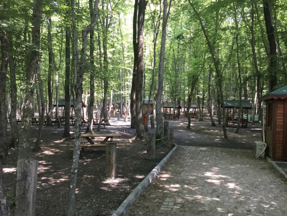 Fatih Çeşmesi Tabiat Parkı mekân fotoğrafı