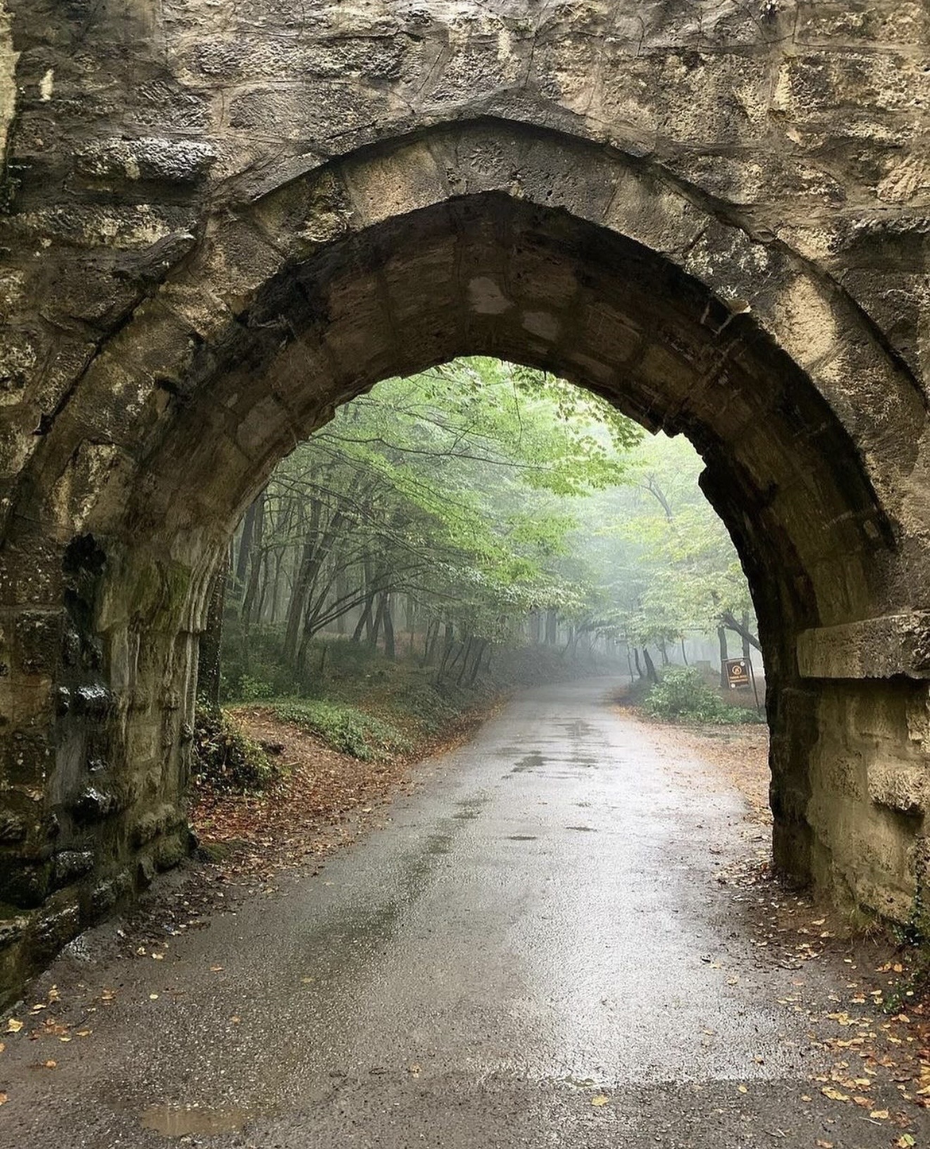 Ayvat Bendi Tabiat Parkı
