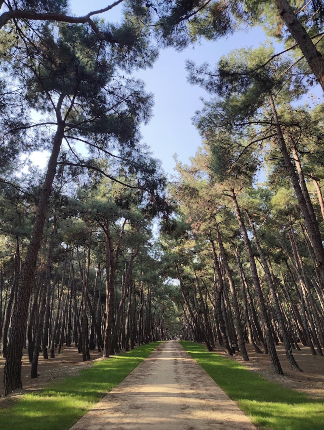 Florya Atatürk Ormanı