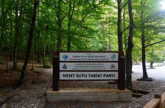Neşetsuyu Tabiat Parkı mekân fotoğrafı