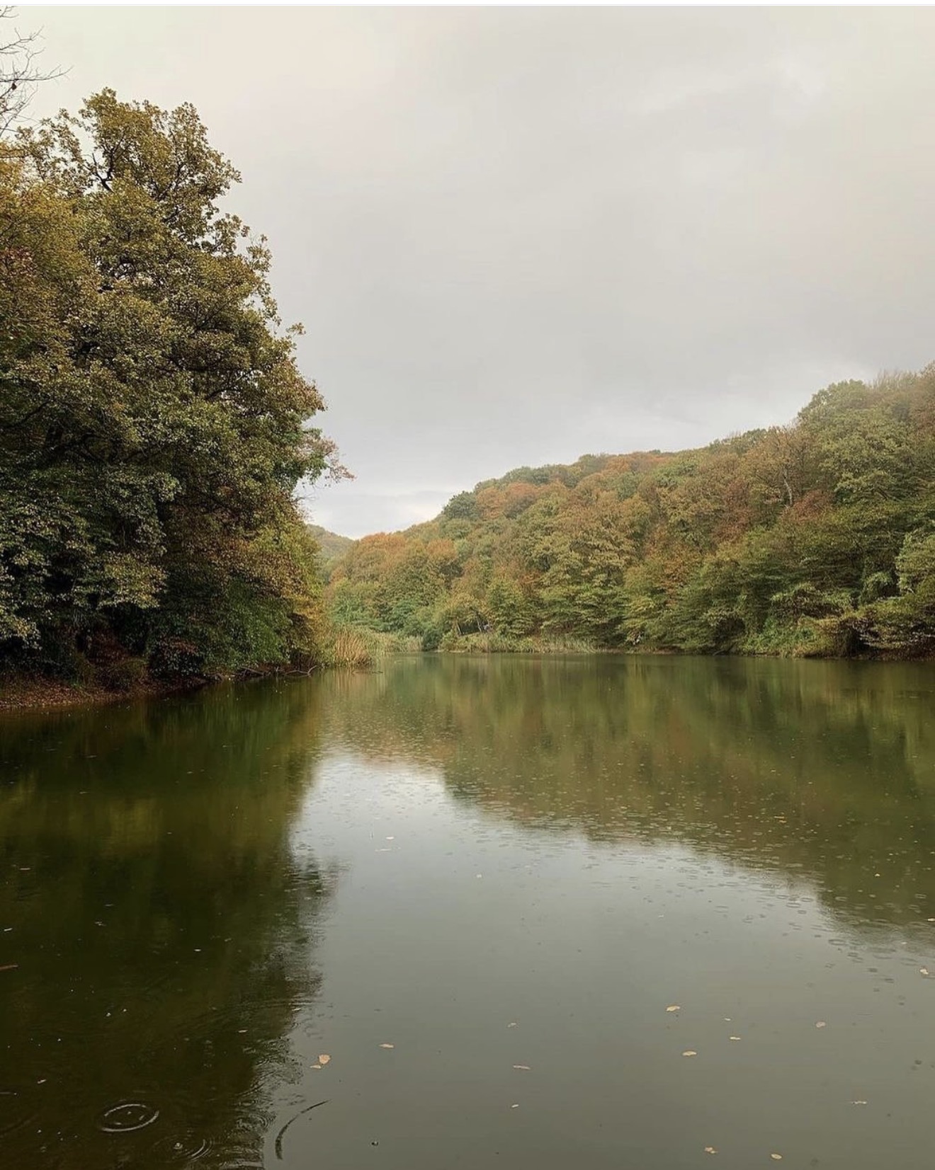 Ayvat Bendi Tabiat Parkı mekân fotoğrafı