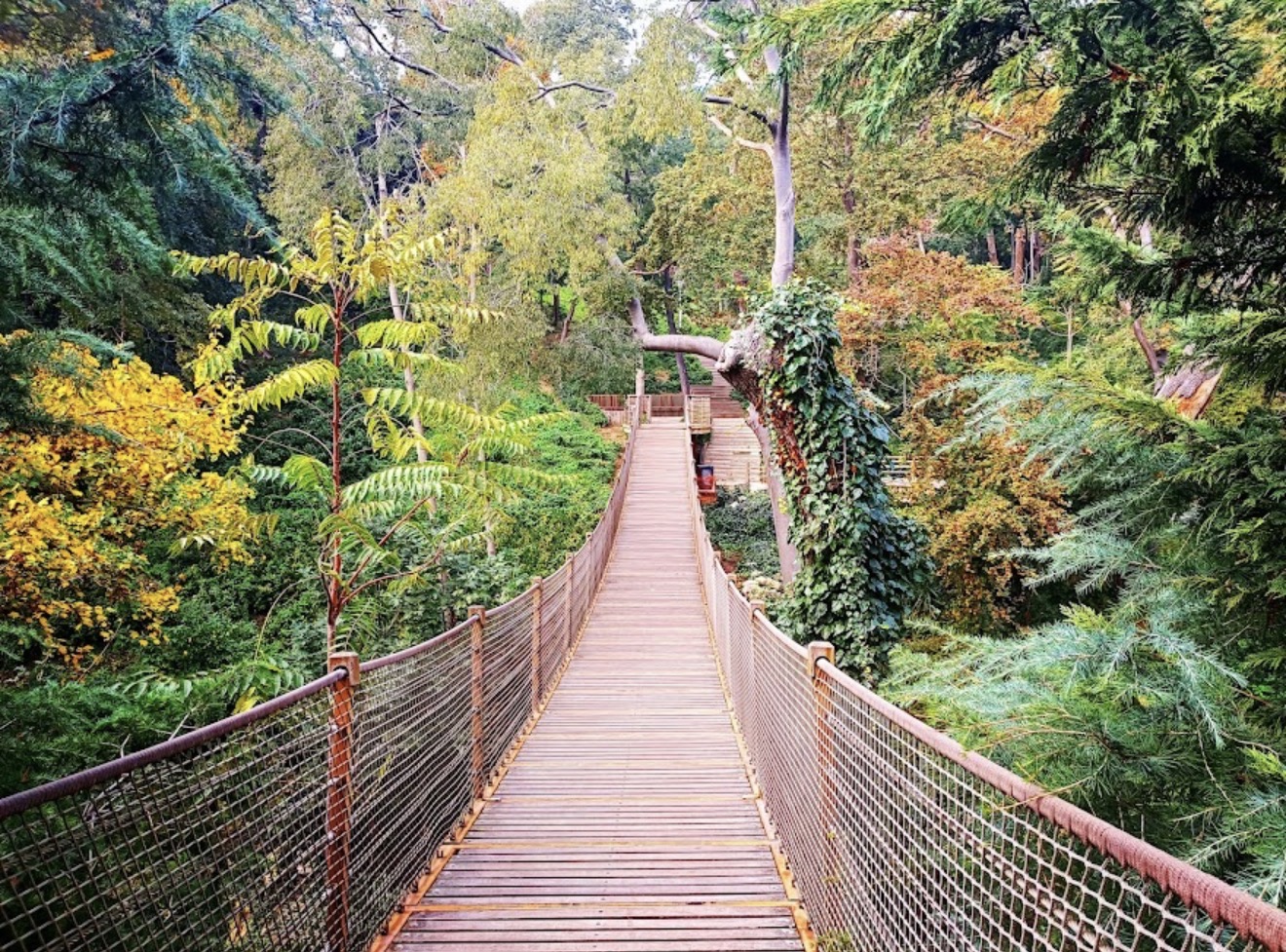 Yıldız Parkı ve Korusu mekân fotoğrafı