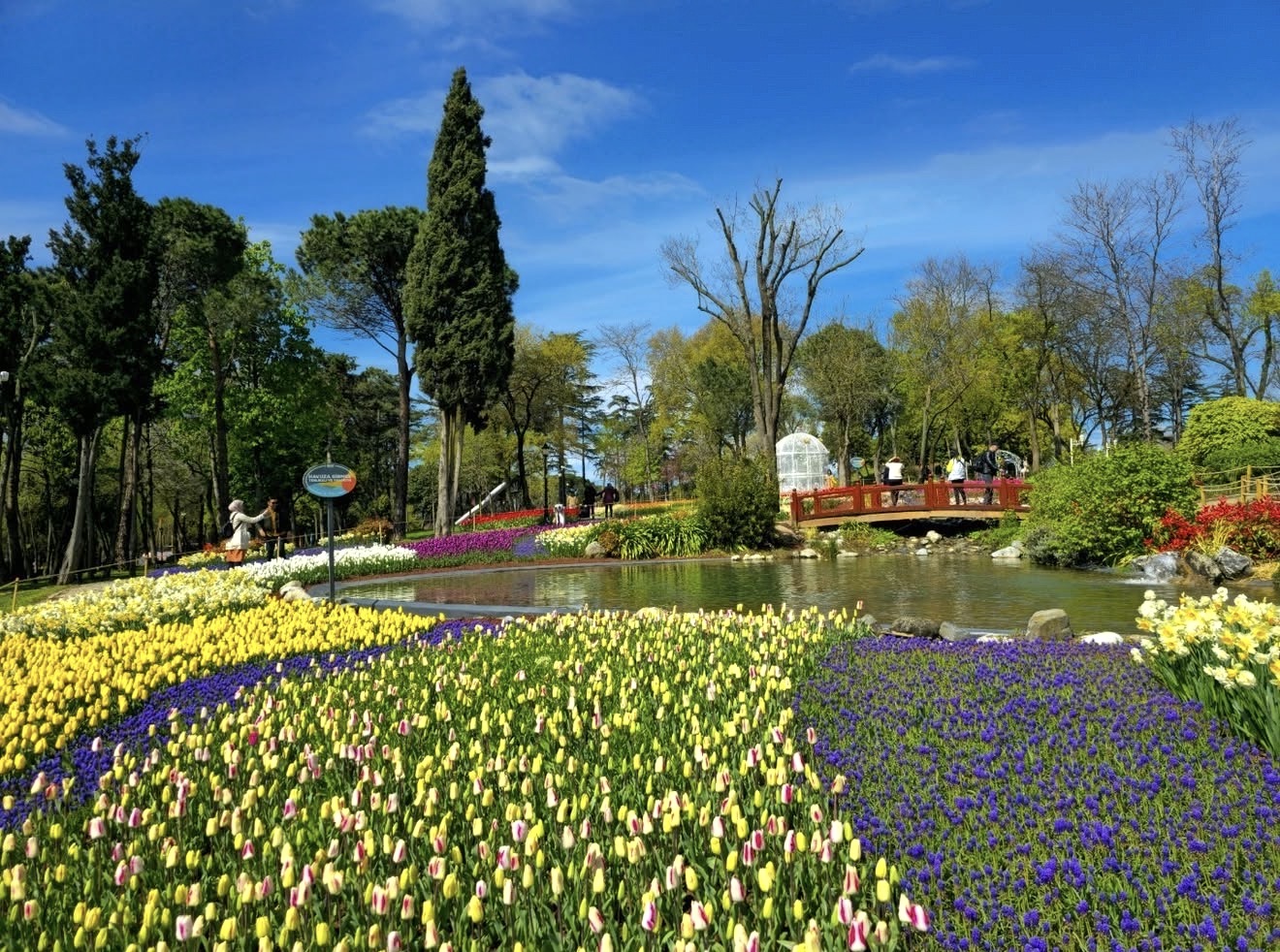 Emirgan Korusu mekân fotoğrafı