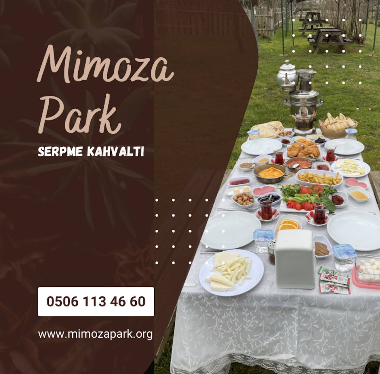 Mimoza Park mekân fotoğrafı