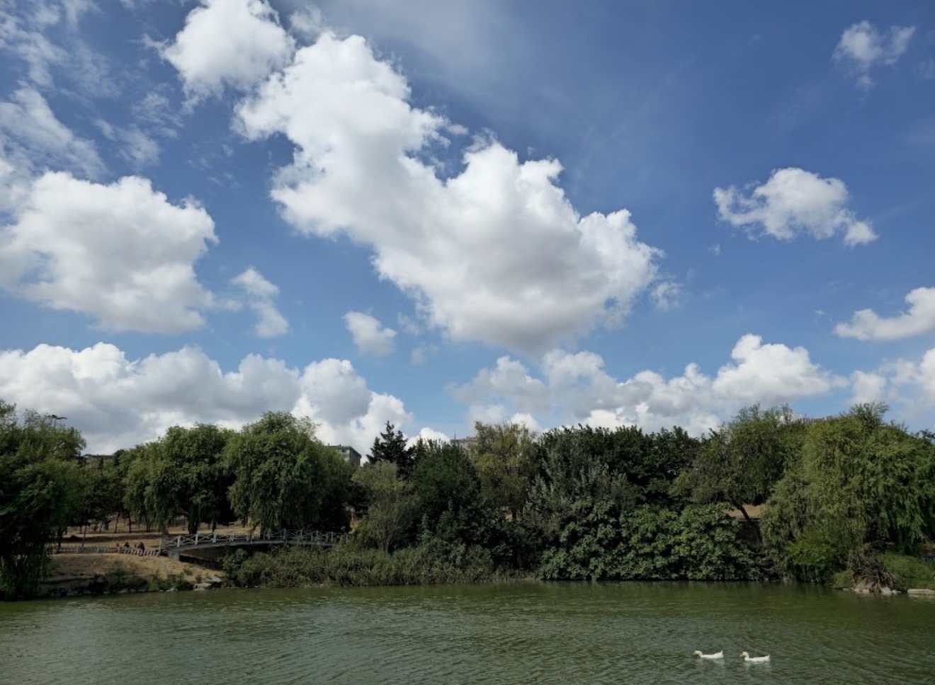 Bakırköy Botanik Parkı mekân fotoğrafı