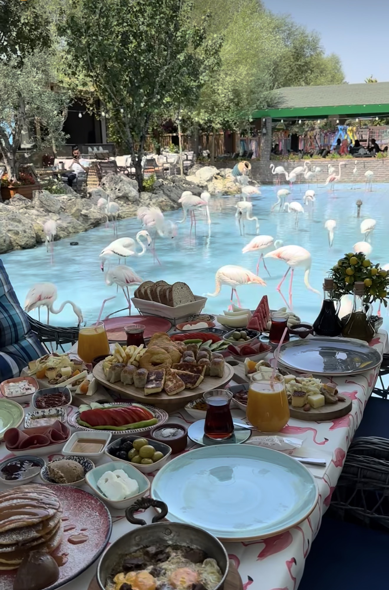 Flamingo Köy