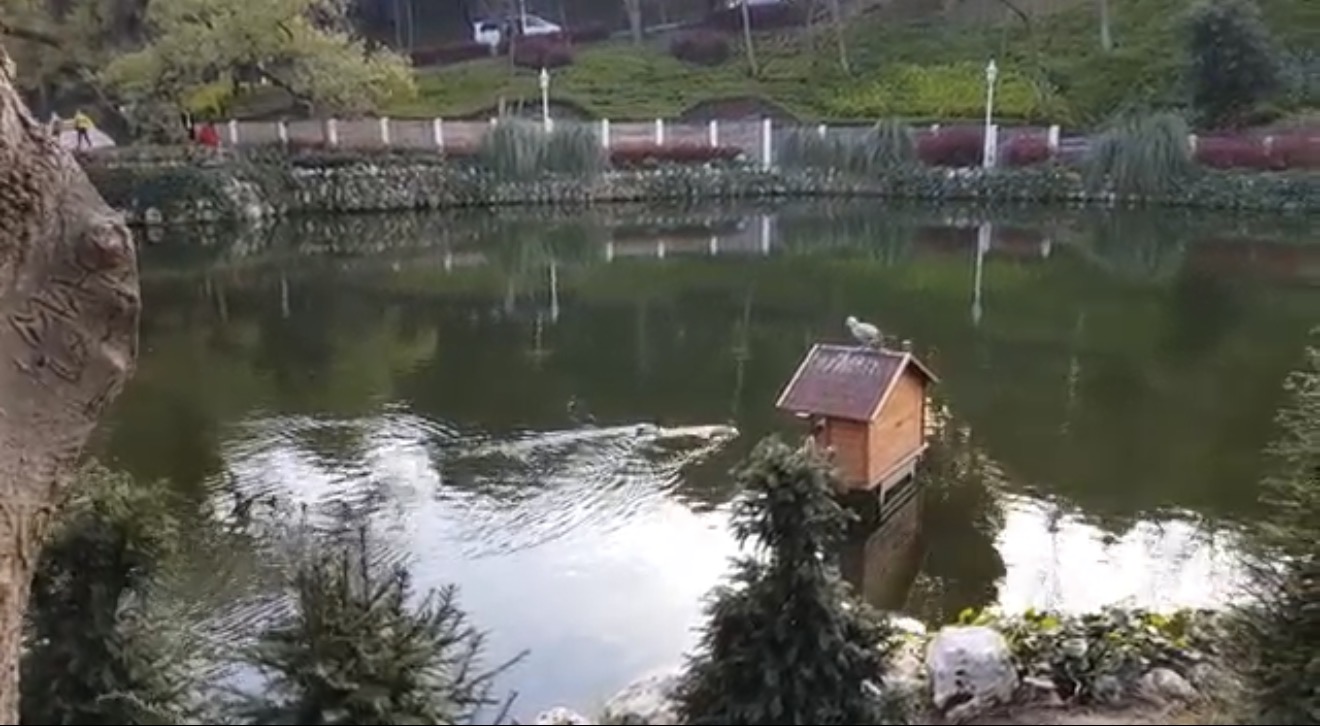 Yıldız Parkı ve Korusu mekân fotoğrafı