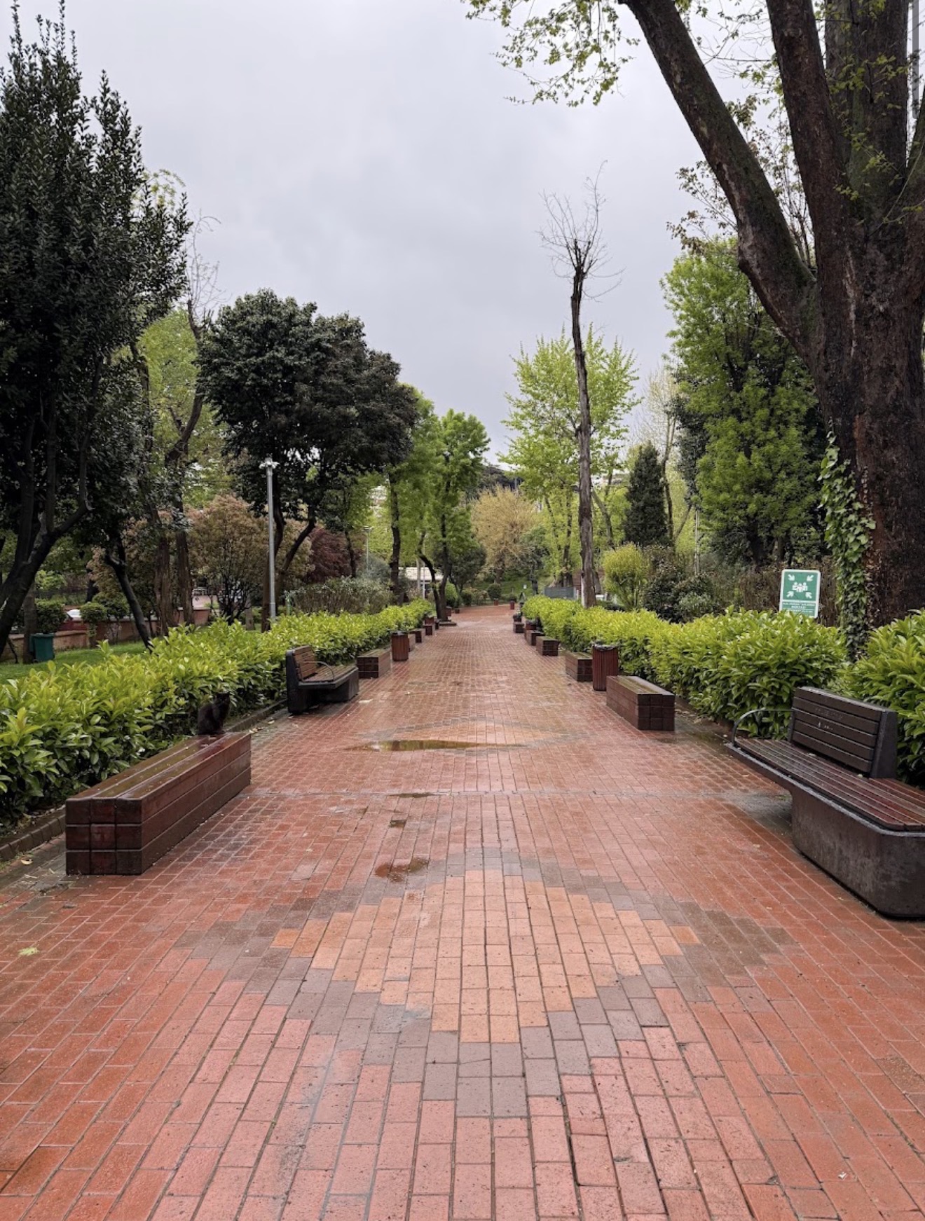 Maçka Demokrasi Parkı mekân fotoğrafı