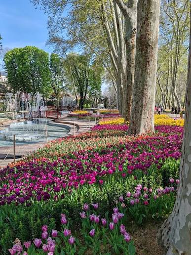 Gülhane Parkı mekân fotoğrafı