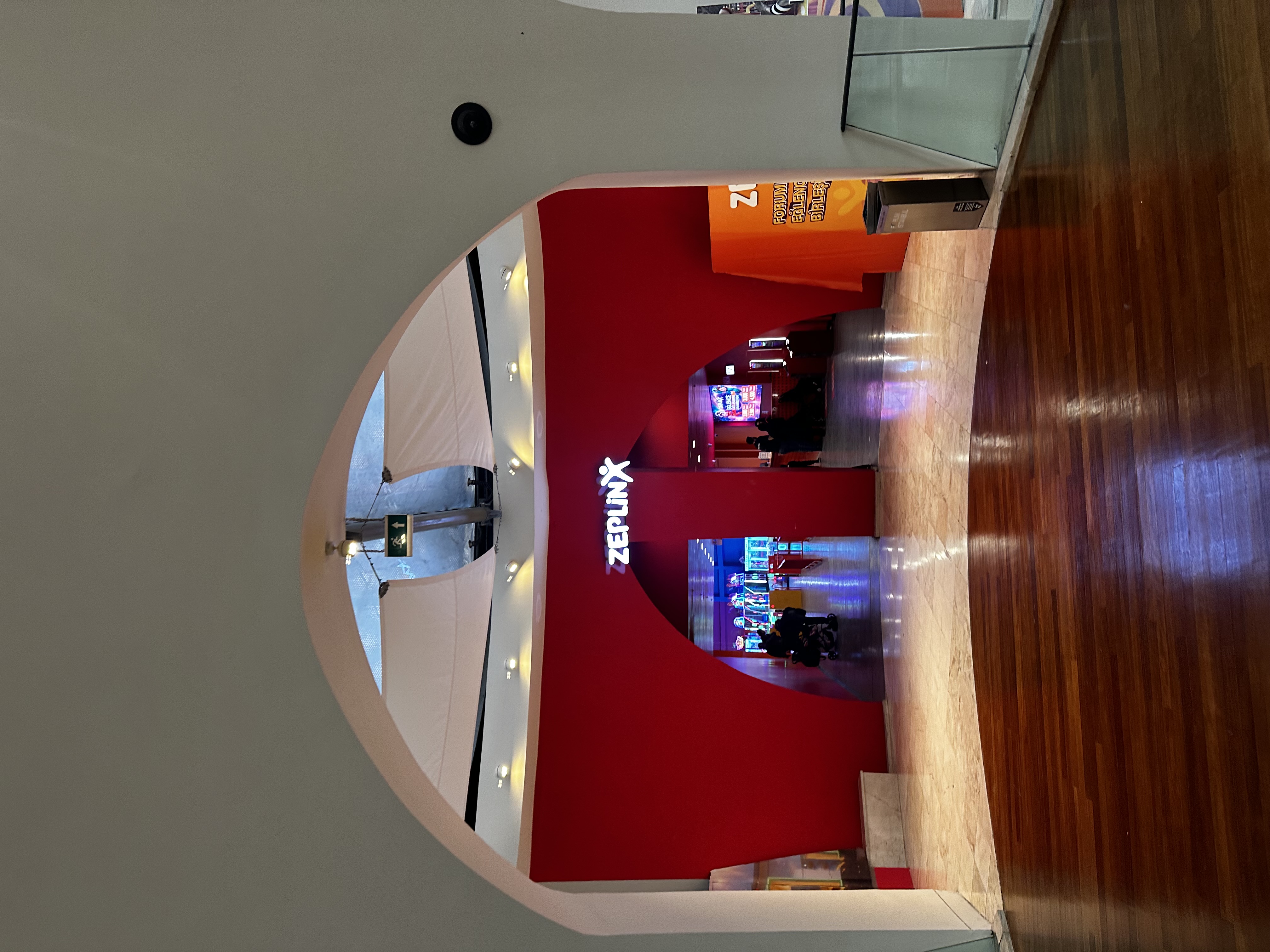 ZeplinX