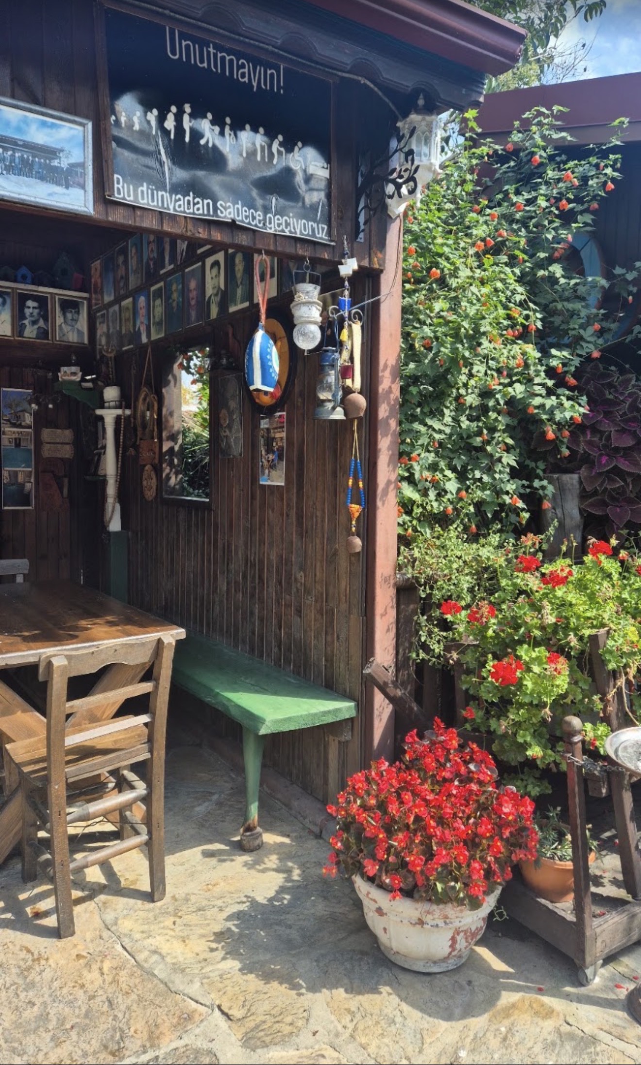 Kurna Nar Ağacı