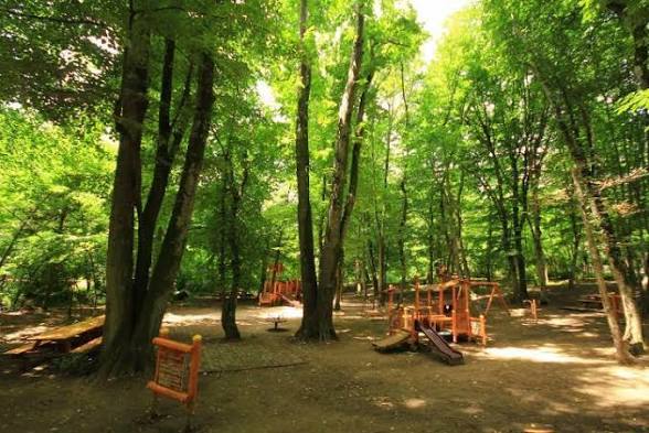 Neşetsuyu Tabiat Parkı mekân fotoğrafı