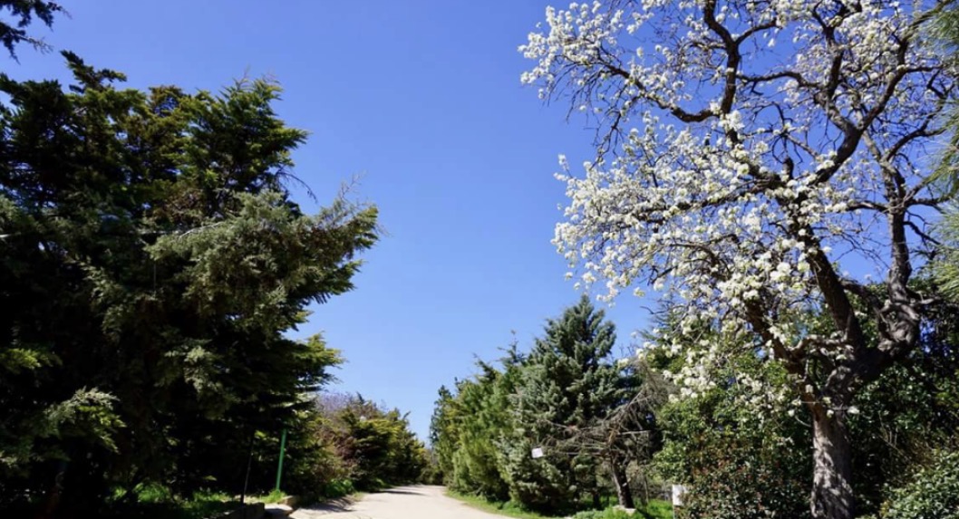 Validebağ Korusu mekân fotoğrafı