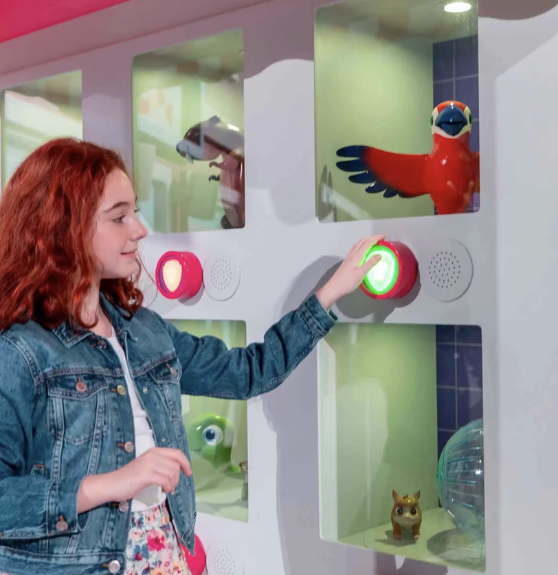 Nickelodeon Play! Tersane İstanbul mekân fotoğrafı