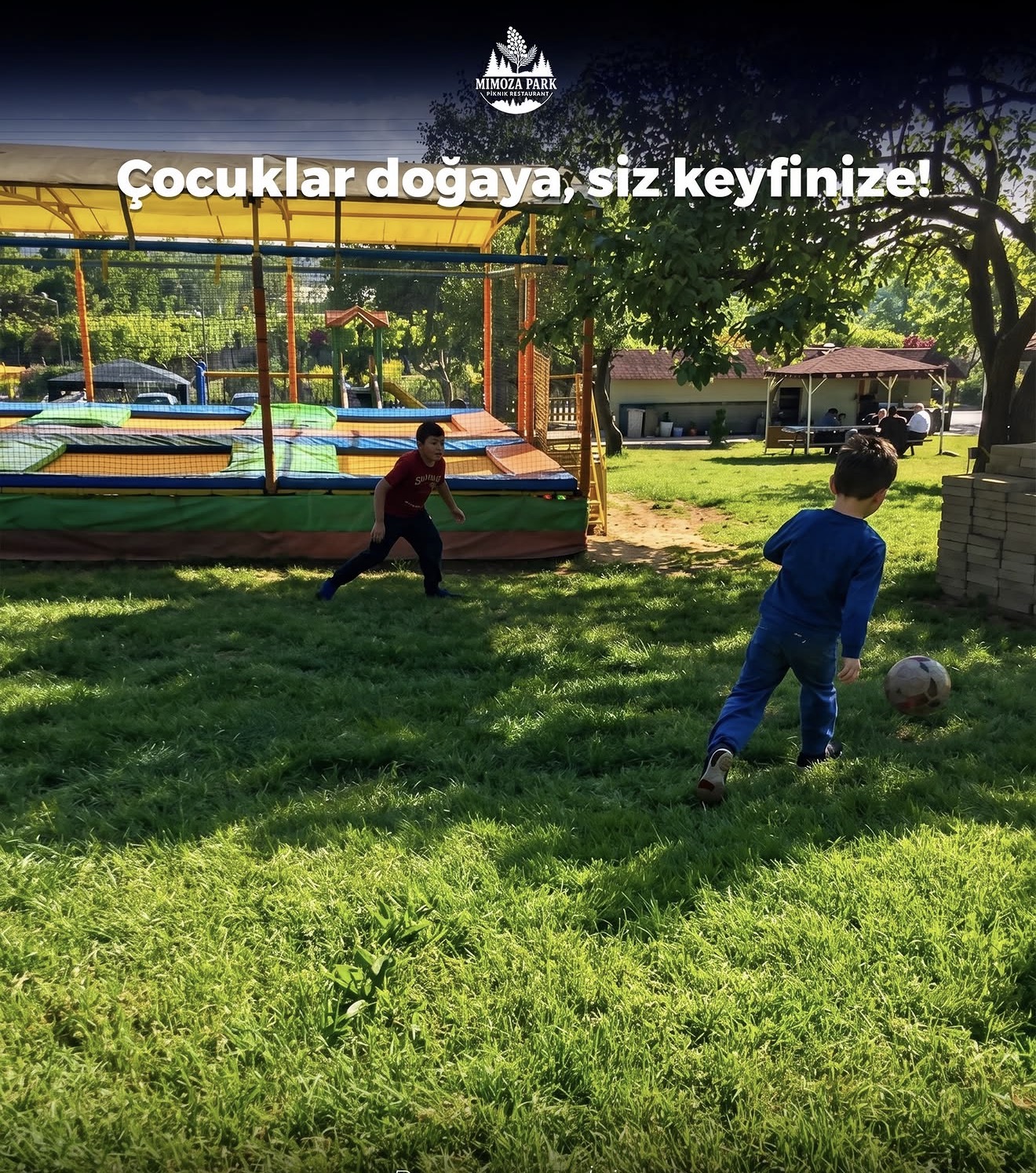 Mimoza Park mekân fotoğrafı