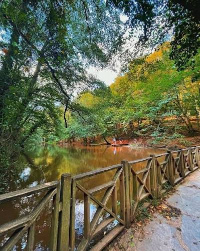 Bentler Tabiat Parkı mekân fotoğrafı